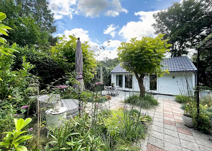 Duinstudio Bergen